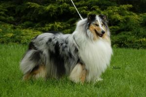 Ask An Answer From River Agara