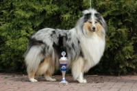 Ask An Answer From River Agara