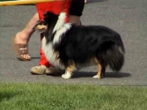 BRAVO z Josefovské pevnosti