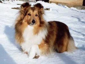 DARKA z Davelského kaňonu CS