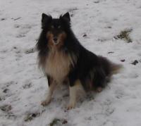 AMÁLKA Branický chlupáč