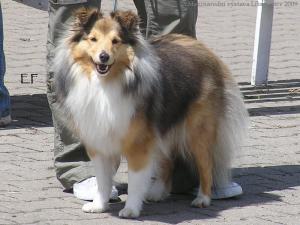 BESSY z Jasmínových hor