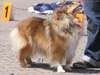 BESSY z Jasmínových hor