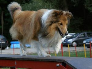 ELIOT Perla z Polabí