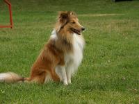 ELIOT Perla z Polabí