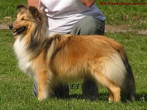 FANY z Vrchovinské stráně