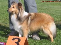 FANY z Vrchovinské stráně