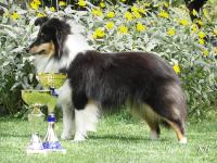 Flower ze Skalní vyhlídky