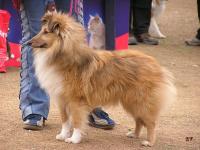 GABRIEL ze Zlaté hvězdy