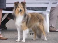 IZZY Želečské vrchy