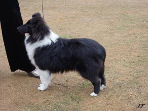 Josephine z Ďáblovy studánky