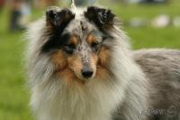 OTTELO z Vesničky u hranic