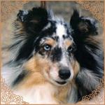 OXANA Slapská alej CS