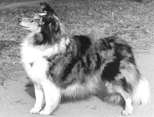 OXANA Slapská alej CS