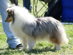 Tosca ze Souhvězdí Orionu