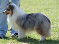 Tosca ze Souhvězdí Orionu