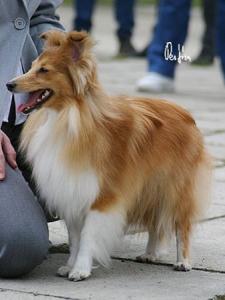 Woodmist Fine Sensible Pleasure