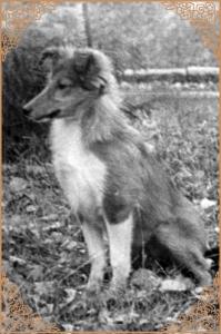 ALMA Nemanická královna CS