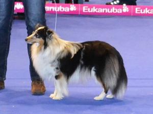 Ciabatta Costcowana von Schnappi Schnapp