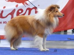 ARWEN Bonsai She-Kra