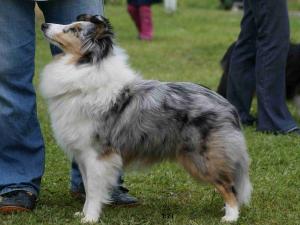 Vanilla Hills ON THE MOVE