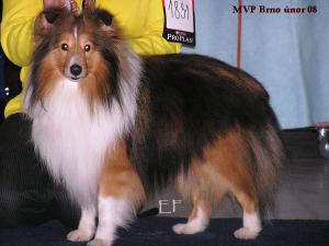 Beautiful Marvellous Man Asketila