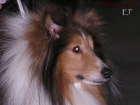 Beautiful Marvellous Man Asketila