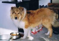 Salvator Jode Z Jordánské Hráze