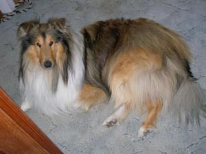 Salvator Jode Z Jordánské Hráze