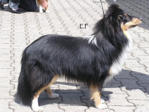 Farat Black od Růžové vily