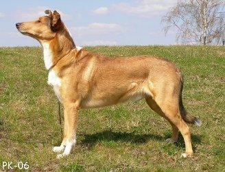 Bilbo Van Shaka's Royal Kraal