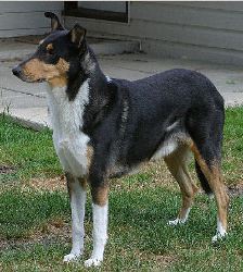 Cardross Just In Time