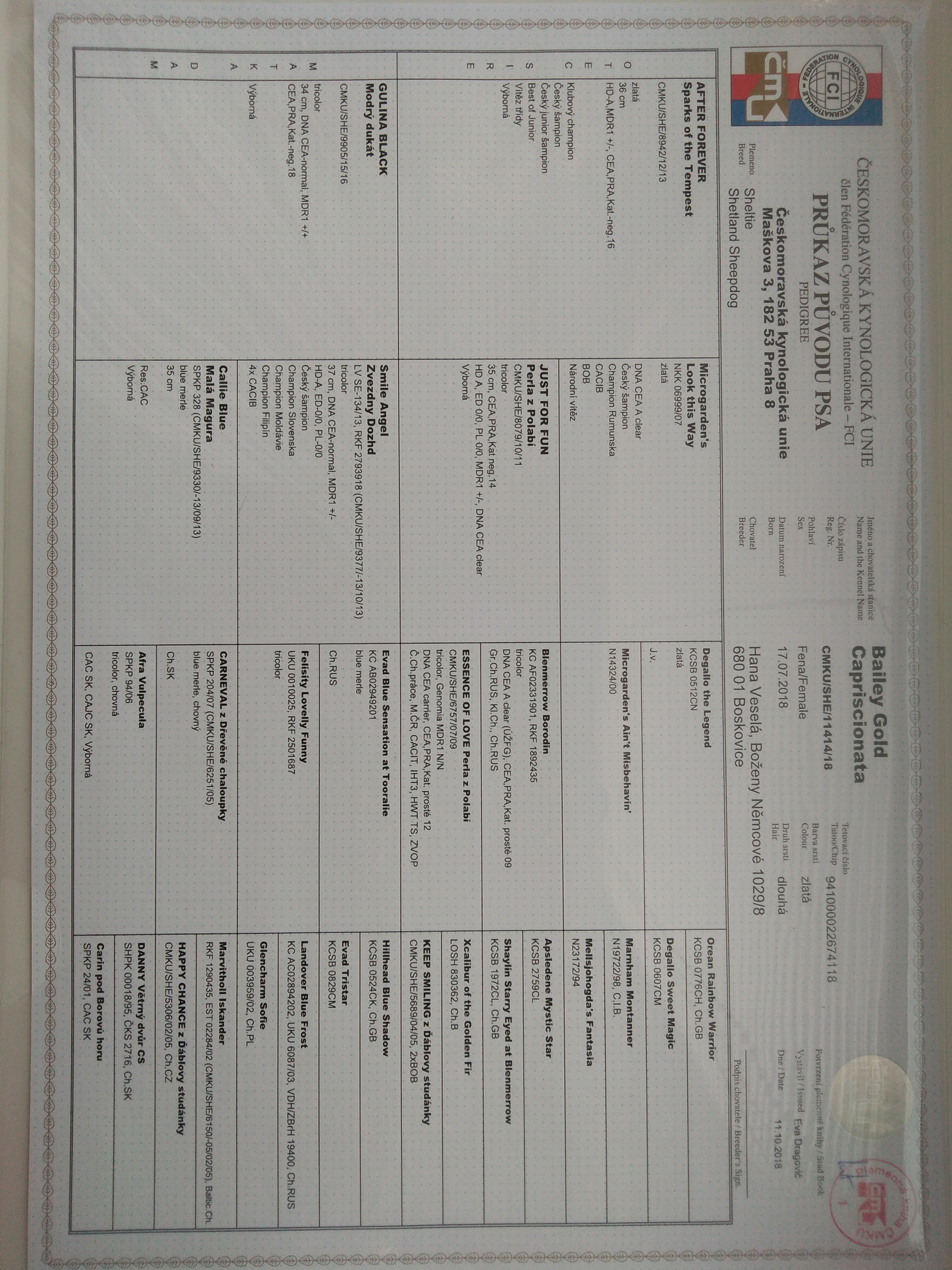 Bailey Gold Capriscionata