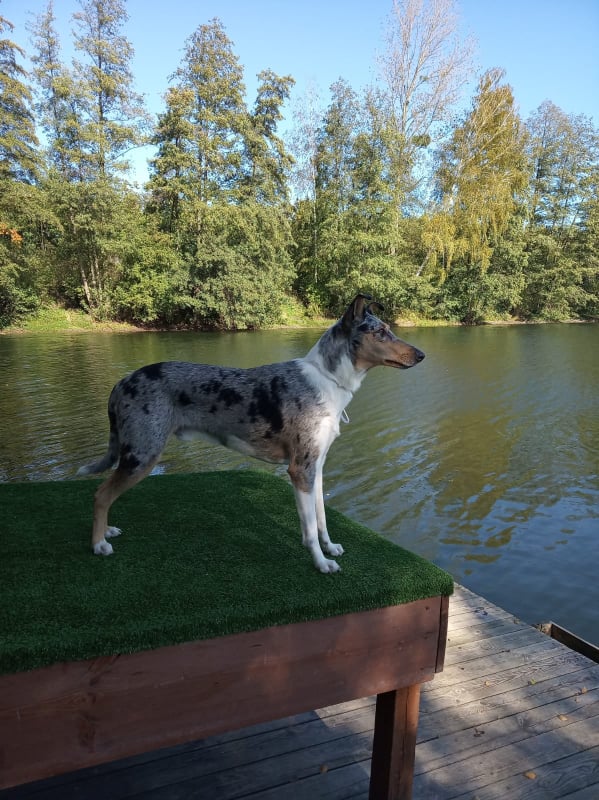 Dusty BlueAngel with Long smile